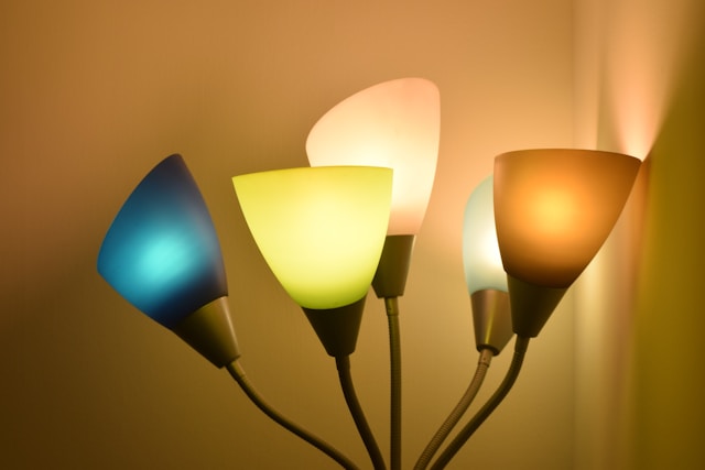 Ventralexoria structure